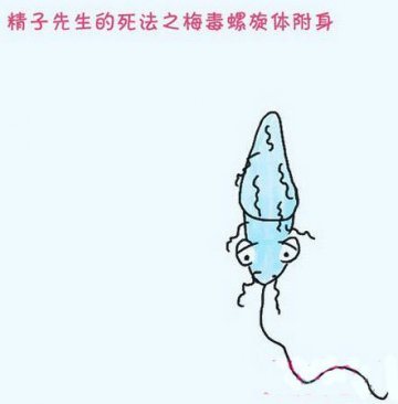 医学趣读：“精子先生”的15种悲催死法