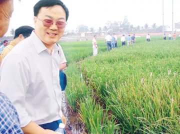 Science：张启发院士获水稻研究新突破