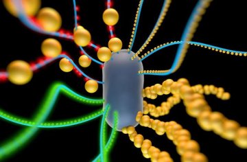 活细胞积木工程把废弃物变成生物燃料