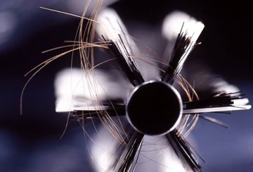 头发揭示你的健康状况：每天洗头究竟好不好