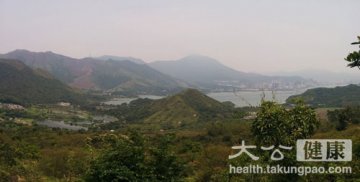 杨梅可散瘀止血止痛 游香港南涌客家村望梅止渴