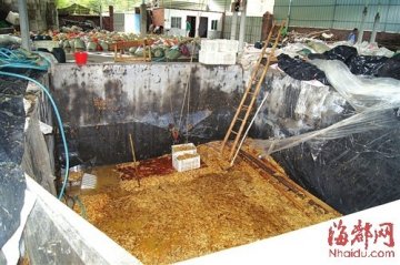 福建农民合作社被查用工业柠檬酸泡致癌金针菇