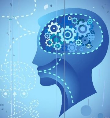 科学家发现智慧基因 排列方式可直接影响人智商