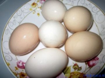 营养师揭“领导食谱”