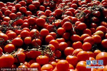 聚焦各国食品安全乱象