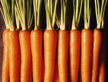 秋季身体最需要的5种滋补食物