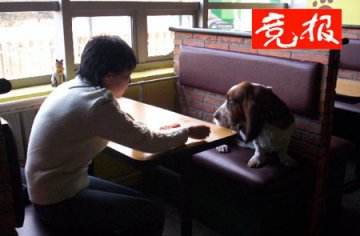 北京宠物餐厅服务员为宠物配制大餐