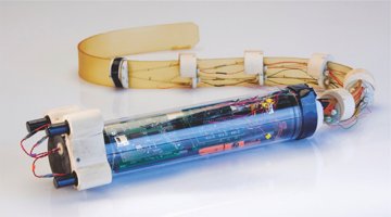 Cyberplasm：仿造寄生鱼的机器人 帮助搜索疾病
