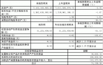 华北制药股份有限公司2005第一季度报告（节录）