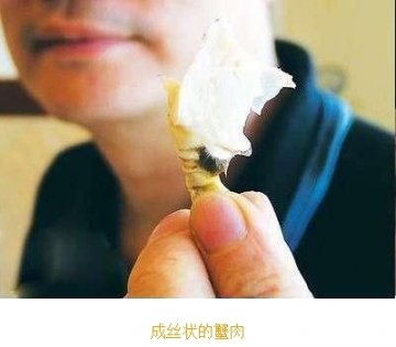 如何优雅食用大闸蟹：步骤七