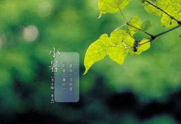 盛夏时节养生：饮食清淡为主 少动多静切勿贪凉