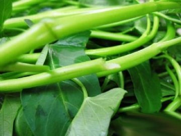 饮食养生：名中医最推荐的9种长寿食物