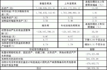 上海市医药股份有限公司2005年第一季度报告（节录）