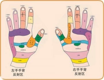 手脚穴位图