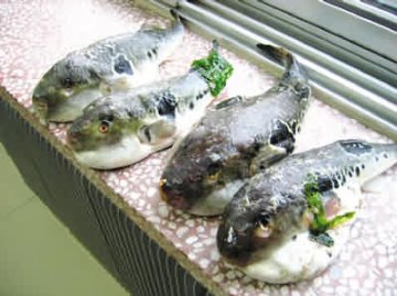 温暖过冬必吃的八种食物
