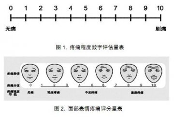 中、重度疼痛治疗首选阿片