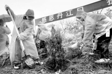 感恩丹江口 护水手拉手