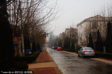 摘肾基地