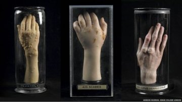大英博物馆古代盗尸者展览