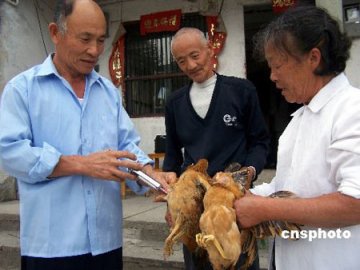 专家驳禽流感福建病毒引发东南亚疫情说法