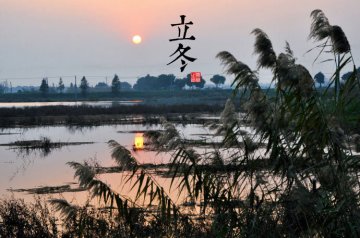 图说二十四节气 美到令人窒息