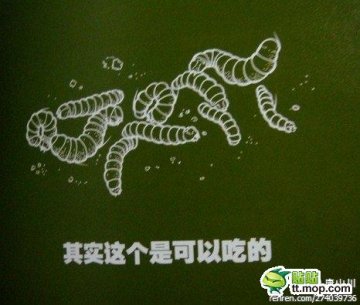 荒野求生贝尔的重口味食谱