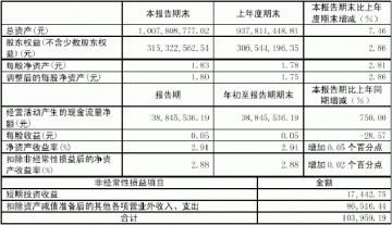 山西亚宝药业集团股份有限公司2005第一季度报告（节录）