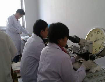 寄生虫病所专业人员对上海松江等土源性线虫病监测点开展镜检复核