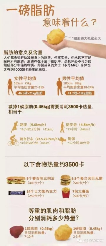 一图读懂：一磅脂肪意味着什么