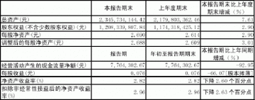 浙江海正药业股份有限公司2005第一季度报告（节录）