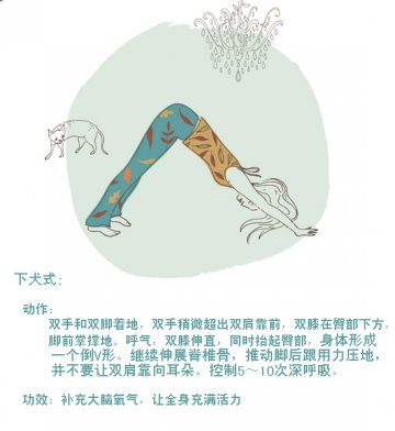 8式居家脊柱修复瑜伽