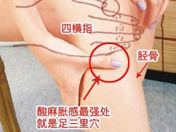 每天按揉足三里能治病？