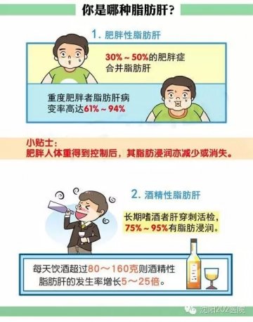 一图读懂：瘦人为何也有脂肪肝？
