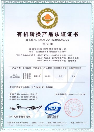 杜仲桑叶黄金组合原料基地通过国家有机认证