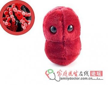 会让人喉咙痛的链球菌(Streptococcus)玩偶