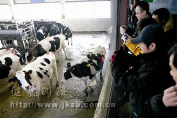 我们都是蒙牛“安检员”