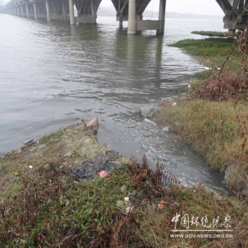 双沟酒业废水污染濉河 泗洪创模虚有其表