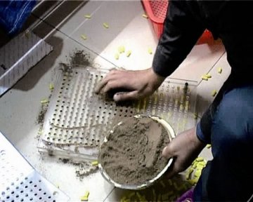中药渣掺西药粉制药用脚踩 武汉破一制售假药案