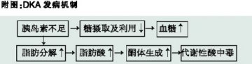 糖友酮体累积 慧眼识酸中毒