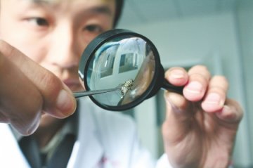 疾控中心人员：专逮苍蝇蚊子 看来好玩实则辛苦