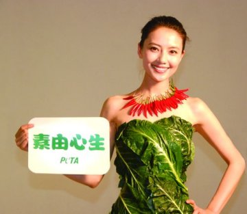 高圆圆倡导素食生活