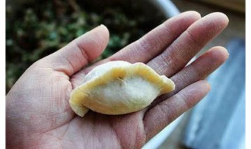 “史上最全”饺子包法
