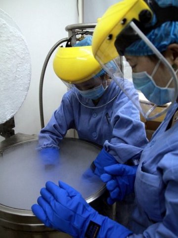 探秘人类精子银行 捐精者95%是大学生