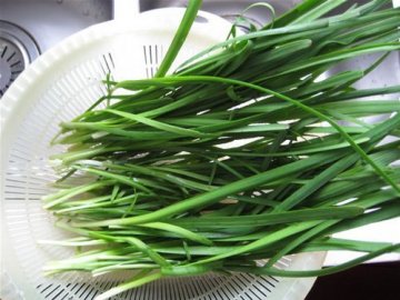 养生：14种食物最能补肾 壮阳效果堪比药物