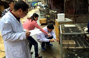 活禽市场环境监测