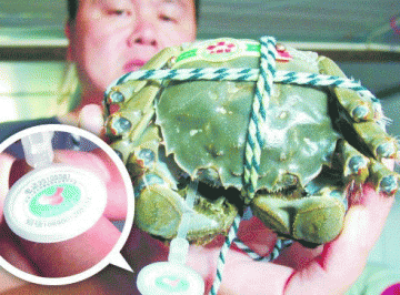 防伪腰带