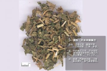 老中医常吃的15味中药