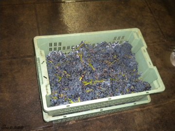 17.只能装12KG的框子