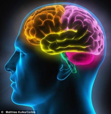 科学家研发读心机破解脑电波