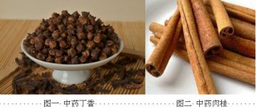 宝宝为啥爱腹泻，中医专家来解读